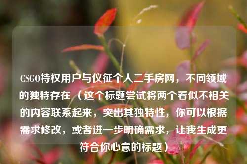 CSGO特权用户与仪征个人二手房网,不同领域的独特存在 (这个标题尝试将两个看似不相关的内容联系起来,突出其独特性,你可以根据需求修改,或者进一步明确需求,让我生成更符合你心意的标题)