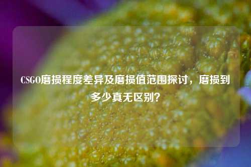 CSGO磨损程度差异及磨损值范围探讨,磨损到多少真无区别?