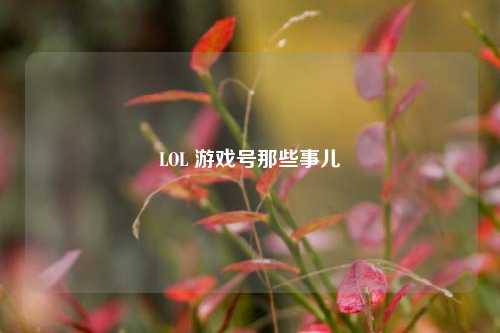 LOL 游戏号那些事儿