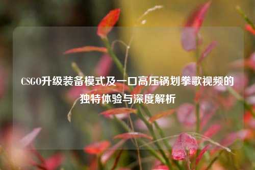 CSGO升级装备模式及一口高压锅划拳歌视频的独特体验与深度解析