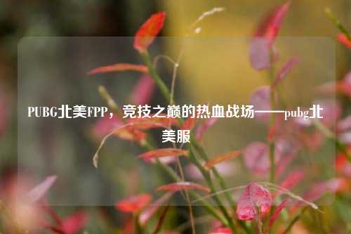 PUBG北美FPP，竞技之巅的热血战场——pubg北美服