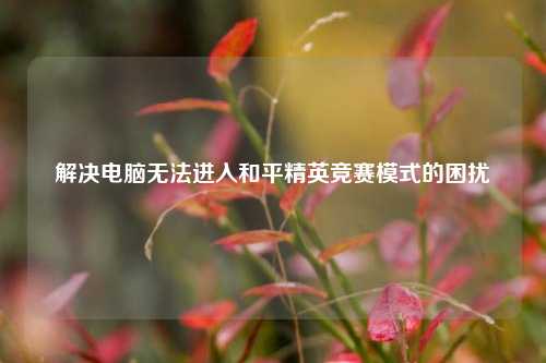 解决电脑无法进入和平精英竞赛模式的困扰