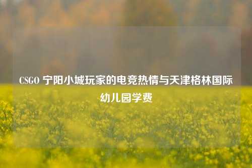 CSGO 宁阳小城玩家的电竞热情与天津格林国际幼儿园学费