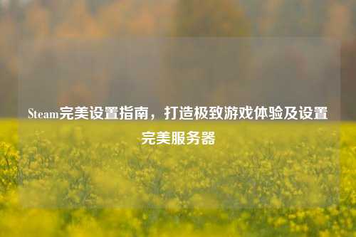 Steam完美设置指南,打造极致游戏体验及设置完美服务器