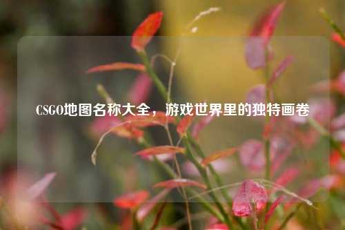 CSGO地图名称大全,游戏世界里的独特画卷
