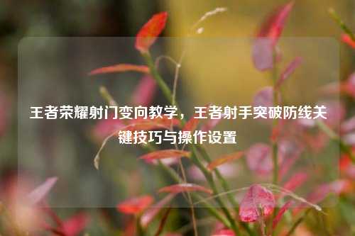 王者荣耀射门变向教学，王者射手突破防线关键技巧与操作设置