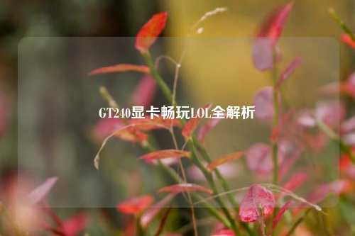 GT240显卡畅玩LOL全解析