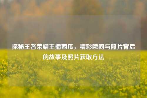 探秘王者荣耀主播西瓜，精彩瞬间与照片背后的故事及照片获取方法