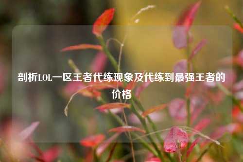 剖析LOL一区王者代练现象及代练到最强王者的价格