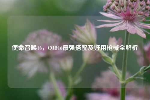 使命召唤16，COD16最强搭配及好用枪械全解析