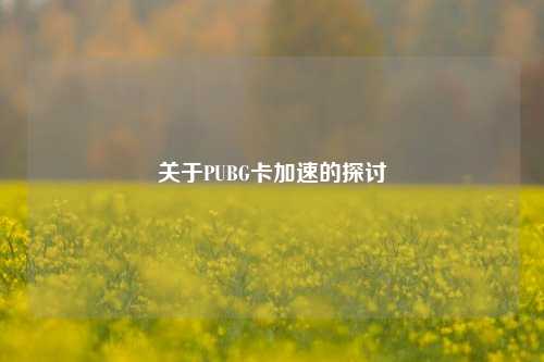 关于PUBG卡加速的探讨