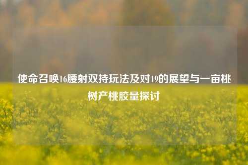 使命召唤16腰射双持玩法及对19的展望与一亩桃树产桃胶量探讨