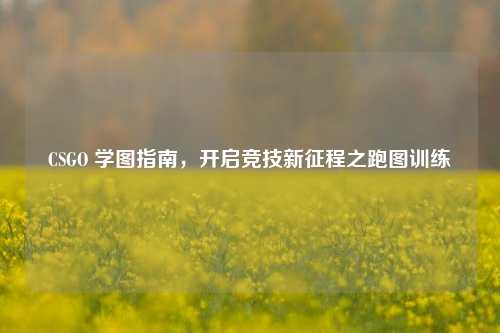 CSGO 学图指南,开启竞技新征程之跑图训练