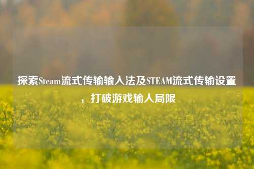探索Steam流式传输输入法及STEAM流式传输设置,打破游戏输入局限