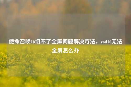 使命召唤16切不了全屏问题解决方法,cod16无法全屏怎么办