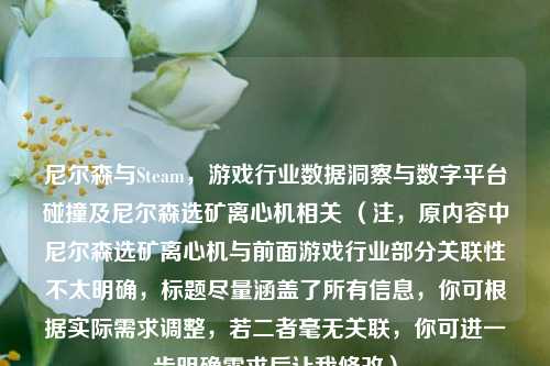 尼尔森与Steam，游戏行业数据洞察与数字平台碰撞及尼尔森选矿离心机相关 （注，原内容中尼尔森选矿离心机与前面游戏行业部分关联性不太明确，标题尽量涵盖了所有信息，你可根据实际需求调整，若二者毫无关联，你可进一步明确需求后让我修改）