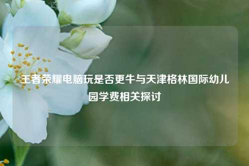 王者荣耀电脑玩是否更牛与天津格林国际幼儿园学费相关探讨