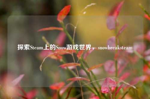 探索Steam上的Snow游戏世界,snowbreaksteam