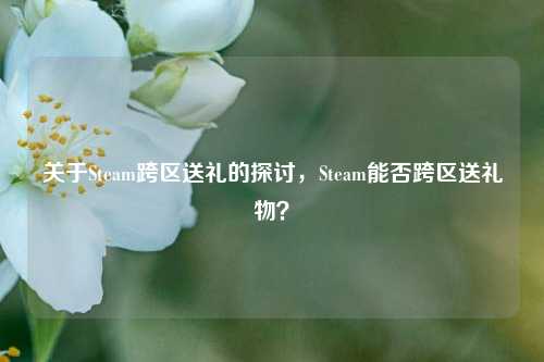 关于Steam跨区送礼的探讨,Steam能否跨区送礼物?