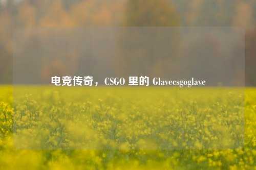 电竞传奇，CSGO 里的 Glavecsgoglave