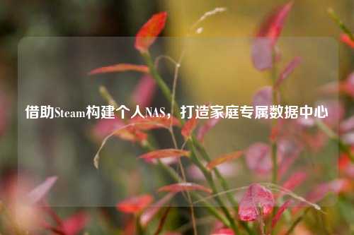 借助Steam构建个人NAS，打造家庭专属数据中心