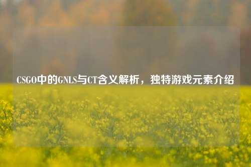 CSGO中的GNLS与CT含义解析，独特游戏元素介绍