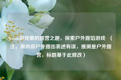 Steam游戏里的露营之趣，探索户外露馅游戏  （注，原内容户外露出表述有误，推测是户外露营，标题基于此修改）
