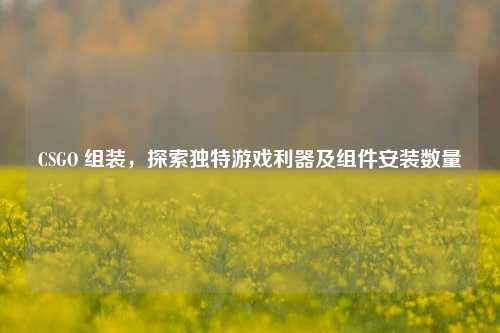CSGO 组装,探索独特游戏利器及组件安装数量