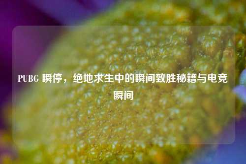 PUBG 瞬停,绝地求生中的瞬间致胜秘籍与电竞瞬间