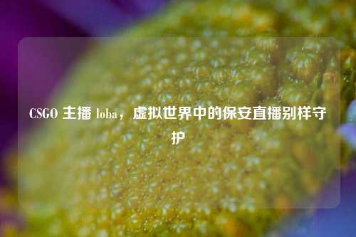 CSGO 主播 loba,虚拟世界中的保安直播别样守护