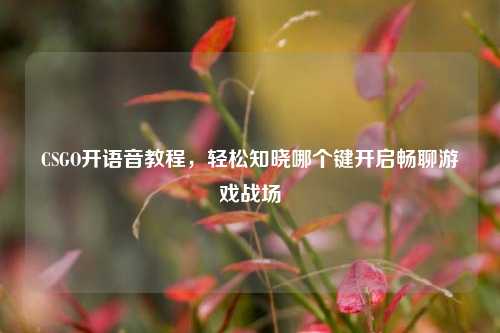 CSGO开语音教程，轻松知晓哪个键开启畅聊游戏战场