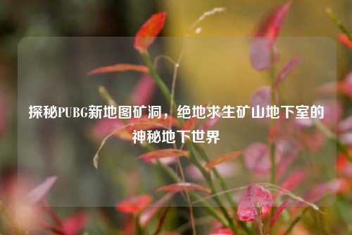 探秘PUBG新地图矿洞，绝地求生矿山地下室的神秘地下世界