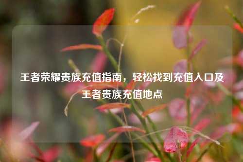 王者荣耀贵族充值指南，轻松找到充值入口及王者贵族充值地点