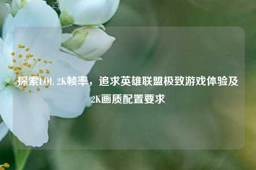 探索LOL 2K帧率，追求英雄联盟极致游戏体验及2K画质配置要求