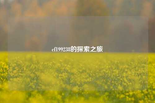cf199238的探索之旅