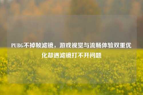 PUBG不掉帧滤镜，游戏视觉与流畅体验双重优化却遇滤镜打不开问题