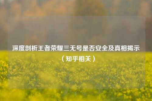 深度剖析王者荣耀三无号是否安全及真相揭示(知乎相关)