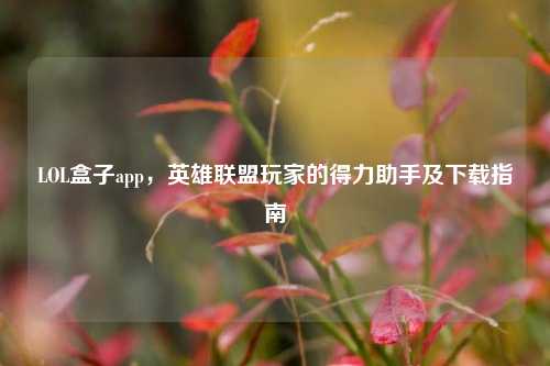LOL盒子app，英雄联盟玩家的得力助手及下载指南