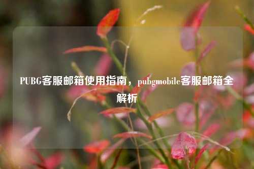 PUBG客服邮箱使用指南，pubgmobile客服邮箱全解析