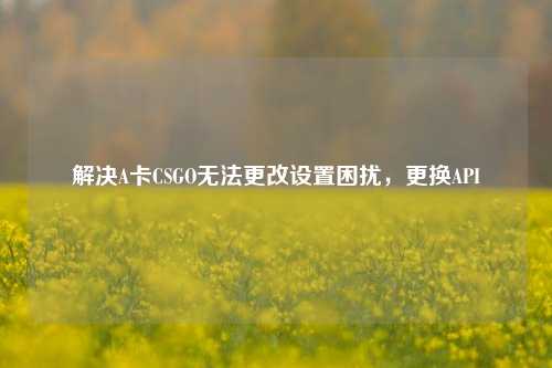 解决A卡CSGO无法更改设置困扰,更换API