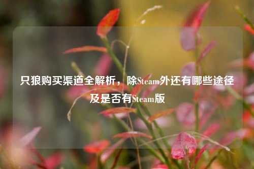 只狼购买渠道全解析，除Steam外还有哪些途径及是否有Steam版