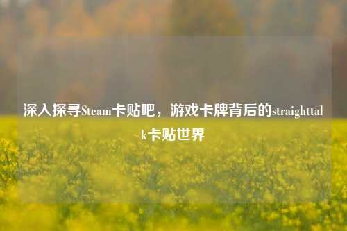 深入探寻Steam卡贴吧,游戏卡牌背后的straighttalk卡贴世界