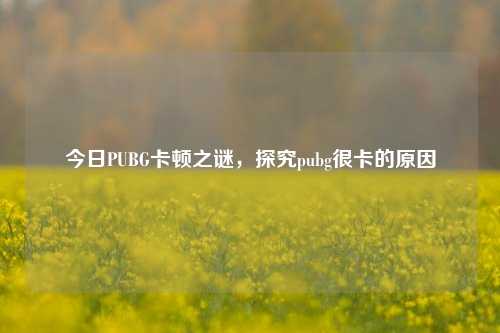 今日PUBG卡顿之谜，探究pubg很卡的原因