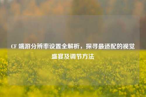 CF 端游分辨率设置全解析,探寻最适配的视觉盛宴及调节方法