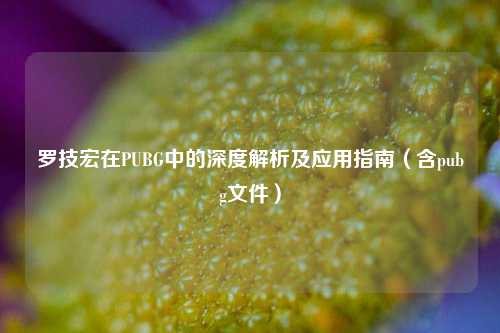罗技宏在PUBG中的深度解析及应用指南（含pubg文件）