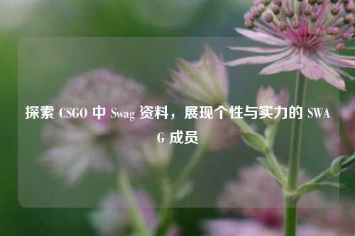 探索 CSGO 中 Swag 资料，展现个性与实力的 SWAG 成员