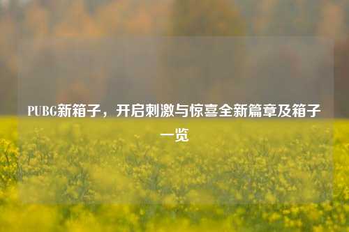 PUBG新箱子,开启刺激与惊喜全新篇章及箱子一览