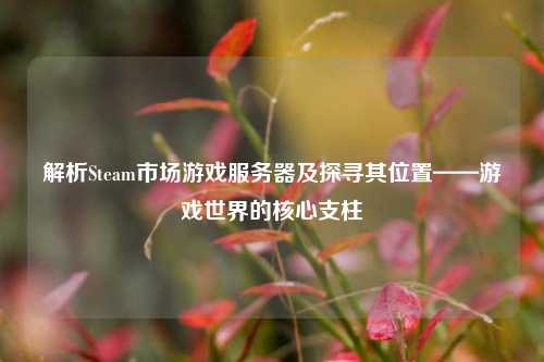 解析Steam市场游戏服务器及探寻其位置——游戏世界的核心支柱