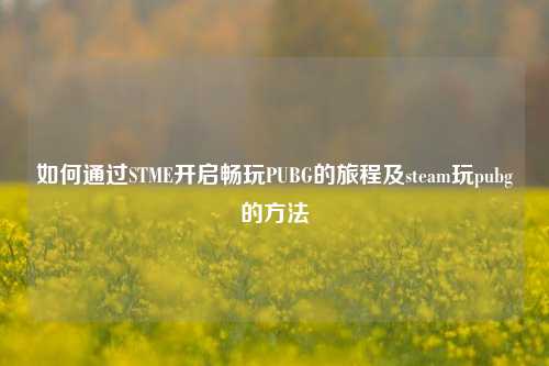 如何通过STME开启畅玩PUBG的旅程及steam玩pubg的方法