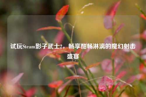 试玩Steam影子武士2,畅享酣畅淋漓的魔幻射击盛宴